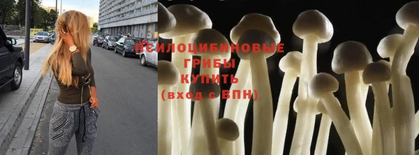 jwh Медногорск