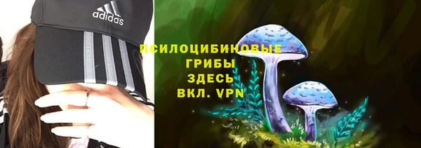 PSILOCYBIN Мегион
