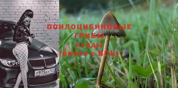 кокаин колумбия Медвежьегорск