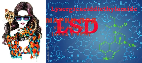 PSILOCYBIN Мегион