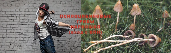 jwh Медногорск