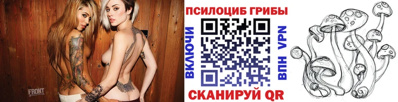 Галлюциногенные грибы Psilocybine cubensis  хочу   Ясный 